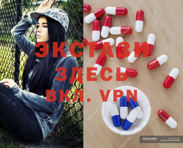 крисы Покачи