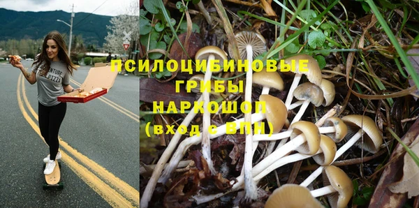 кристаллы Ладушкин