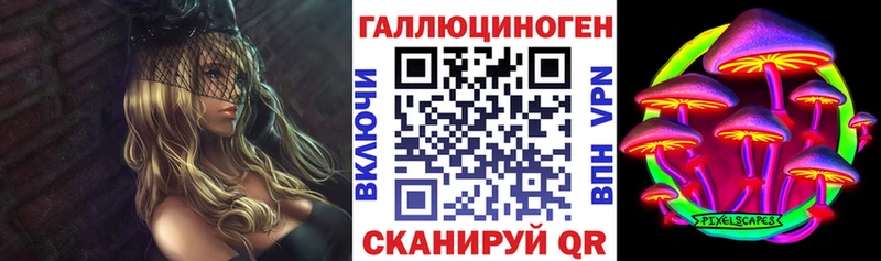 Галлюциногенные грибы Psilocybe где найти наркотики Тимашёвск